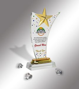 Acrylic Star Recognition Award Trophy