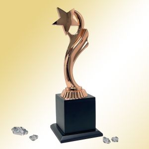 Copper Star Excellence Trophy