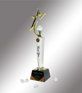 Crystal Rising Star Recognition Trophy