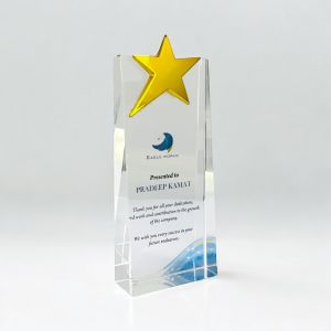 Crystal Star Recognition Award Trophy