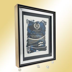 Distinguished Service Milestone Award Frame