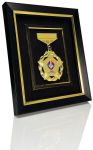 Executive Medal Display Recognition Frame