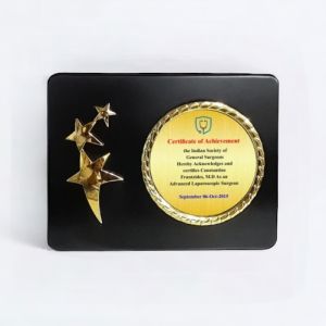 Golden Star Emblem Achievement Plaque