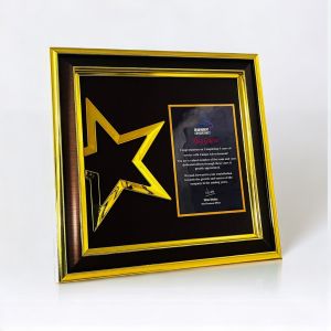 Golden Star Framed Service Appreciation Plaque