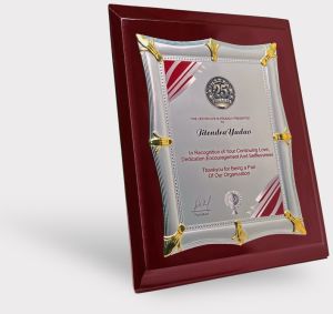 Pristine Silver Anniversary Recognition Plaque