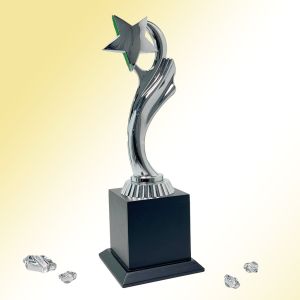Silver Star Excellence Trophy