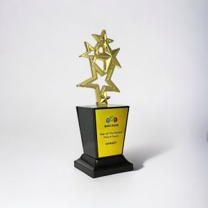 Star Stack Winner Trophy