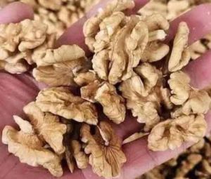 Natural Walnut Kernel
