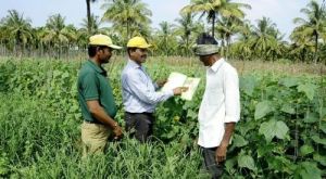 Contract Farming Services