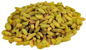 Organic Afghan Green Raisins