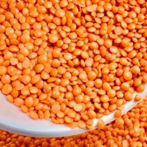 Red Masoor Dal