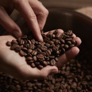FAQ Triage Coffee Beans