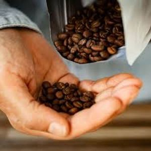 SC 1400 Robusta Coffee Beans