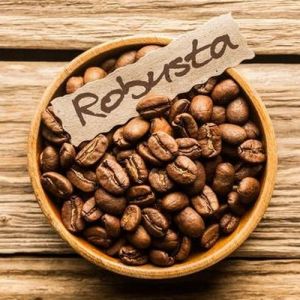 SC 1800 Robusta Coffee Beans