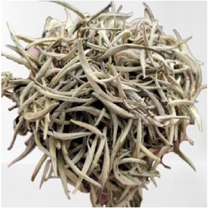 Silver Needle White Tea