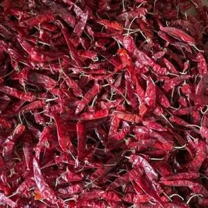 Warangal 341 Dried Red Chilli