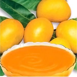 Canned Alphonso Mango Pulp