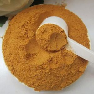 Cordyceps Powder