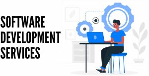 Custom Software Development Service
