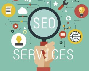 SEO Management Service