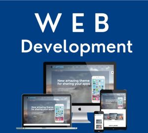 Website Development Service
