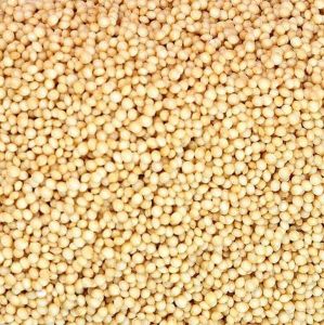 Amaranth Seeds