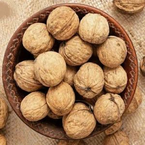 Shelled Walnuts
