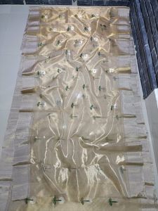 Pure Chanderi Handloom Golden Zari Tissue Silk Saree