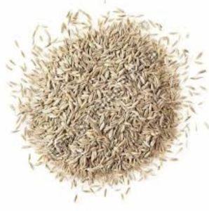White Cumin Seeds
