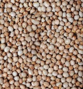 Natural Pigeon Pea