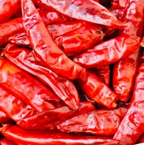 Spicy Red Chilli