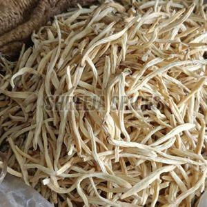 Dry Safed Musli Root
