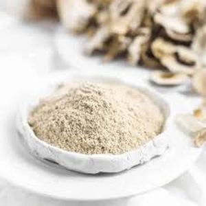 Dry Oyster Mushroom Powder