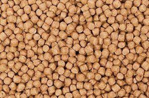 Floating Fish Feed