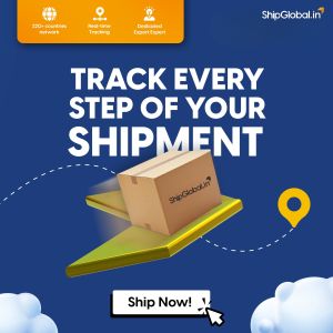 India To USA Courier Service