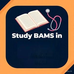 Bams Counselling Services