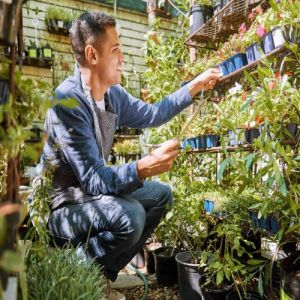 Horticulture Counselling Services
