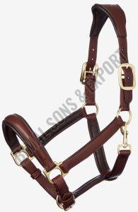 Brown Horse Anatomic Headcollar