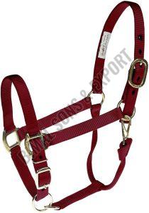 Personalized Horse Halters
