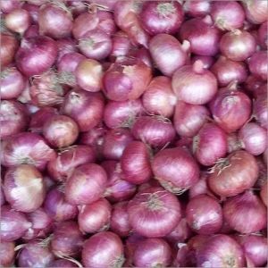 Export Quality Fresh Pink Onion