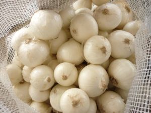 Natural White Onion