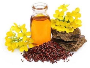 Cold Pressed Mustard Oil