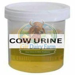 Cow Urine