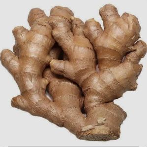 A Grade Fresh Ginger