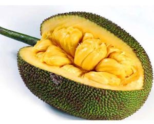 A Grade Organic Fresh Jackfruit