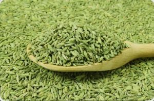 Fennel Seeds