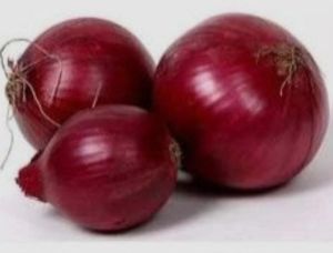 Fresh Red Onion
