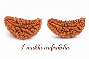 1 Mukhi Rudraksha