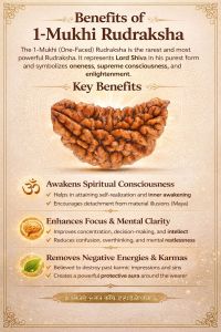 1 Mukhi Rudraksha