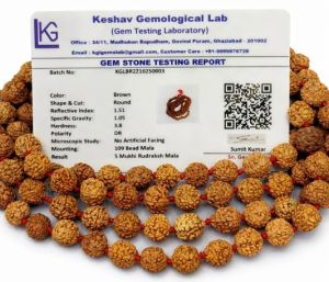 109 Beads Rudraksha Mala